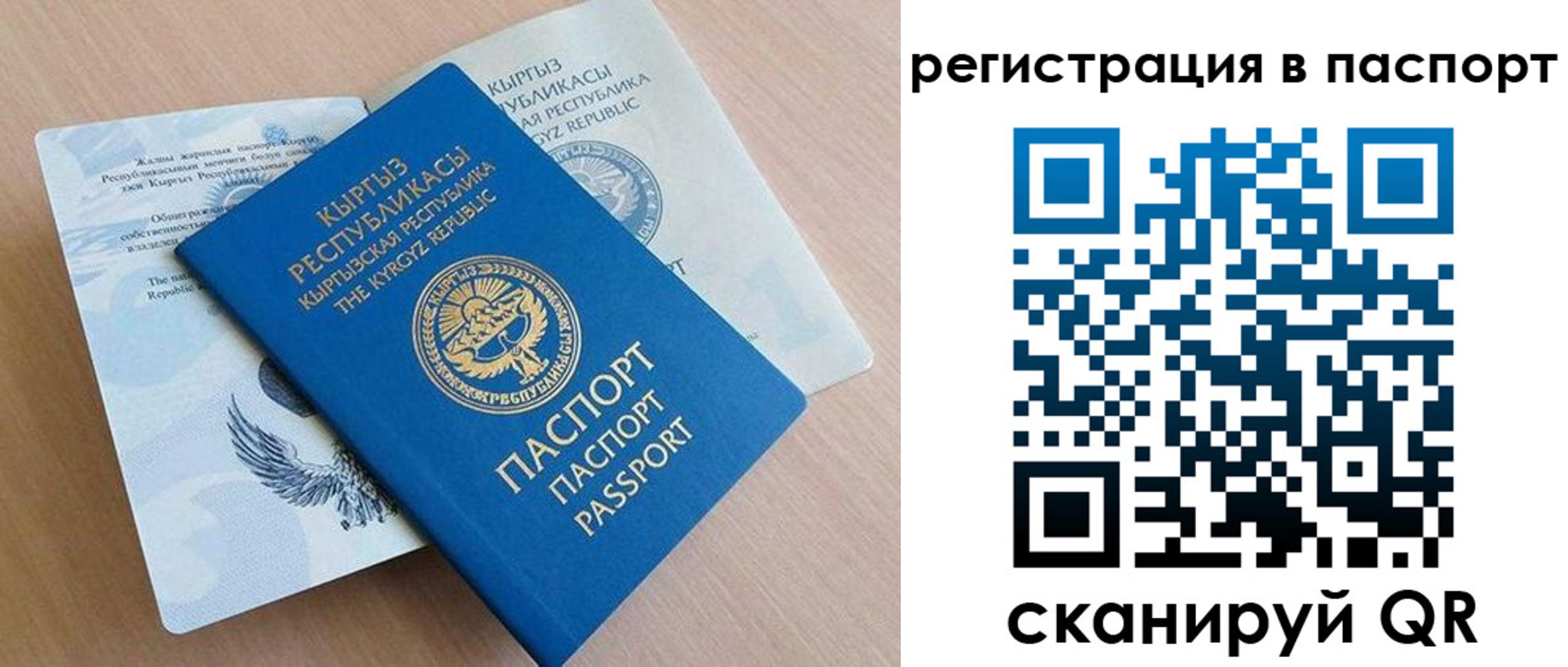 прописка законно в Амурской области